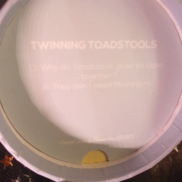 NIB 2020 Twinning Toadstools Erstwilder Dangling Hanging Earrings - Picture 2 of 9